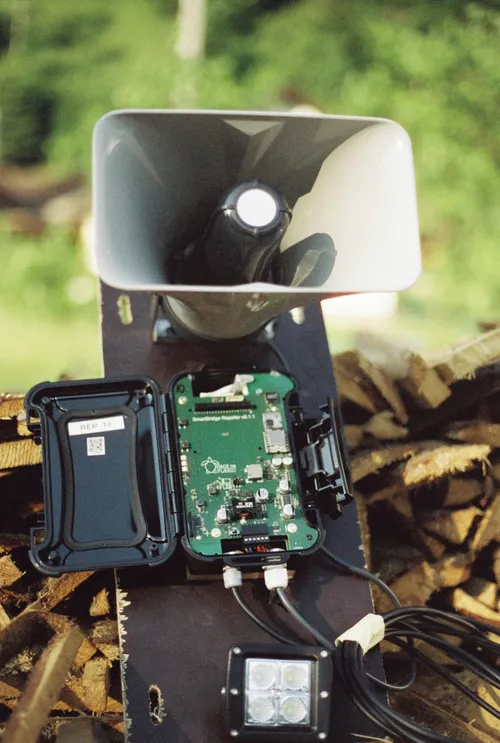 A repeller in a tree